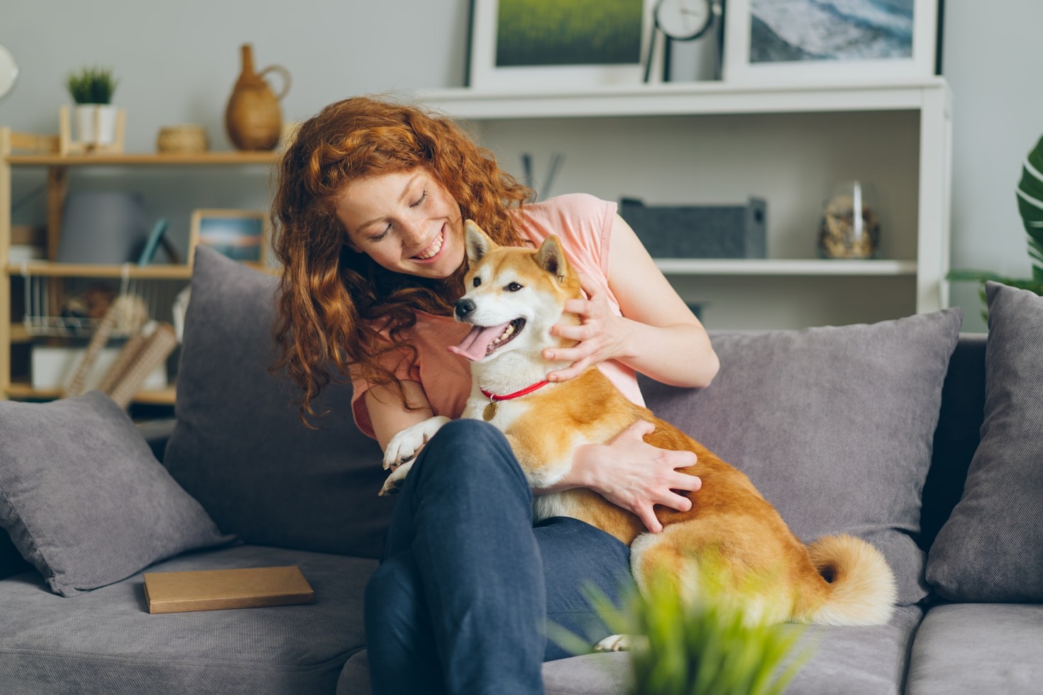 The Ultimate Guide to Designing a Built-in Dog Nook