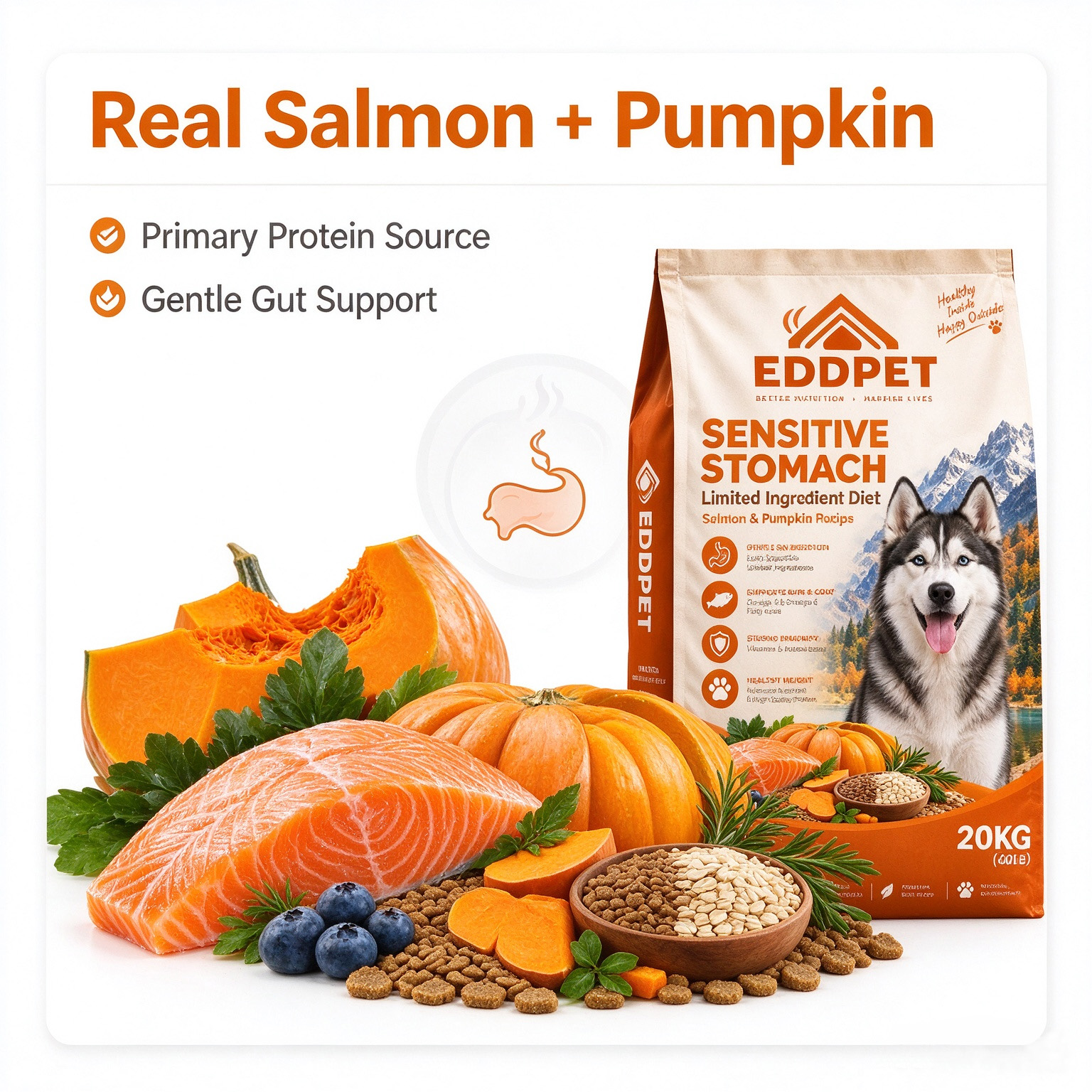 EDDPET Sensitive Stomach Dog Food 20KG | Salmon & Pumpkin - 图片 4