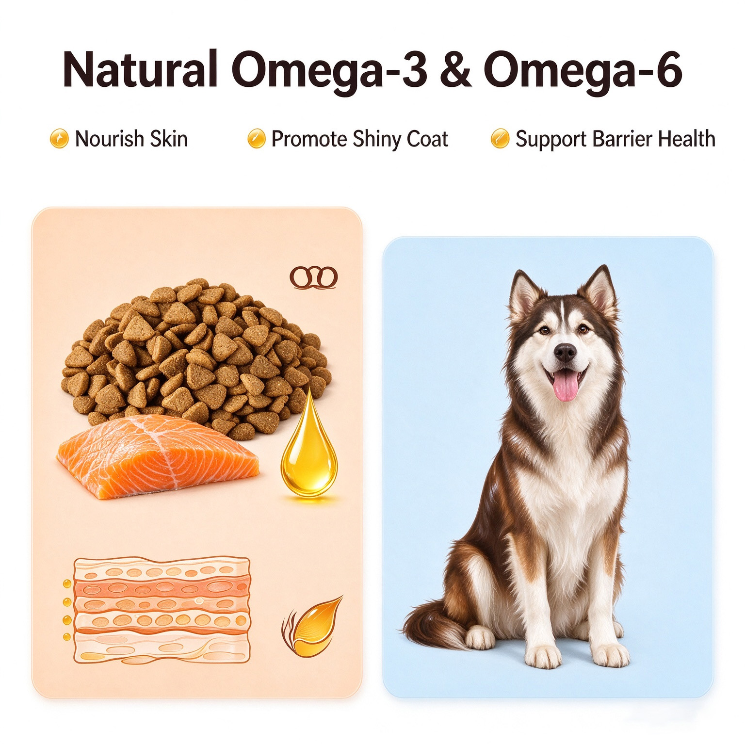 EDDPET Sensitive Stomach Dog Food 20KG | Salmon & Pumpkin - 图片 6