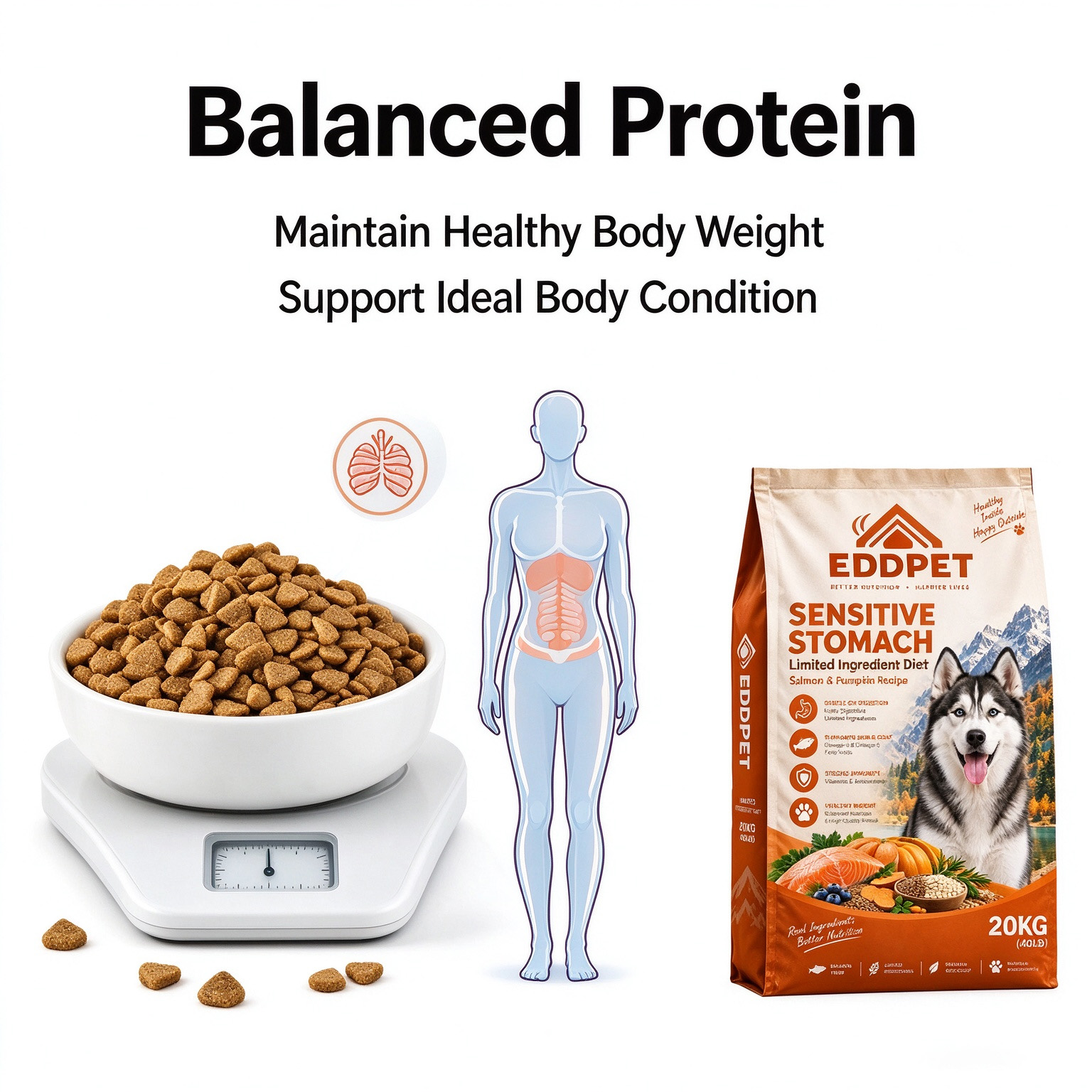 EDDPET Sensitive Stomach Dog Food 20KG | Salmon & Pumpkin - 图片 8
