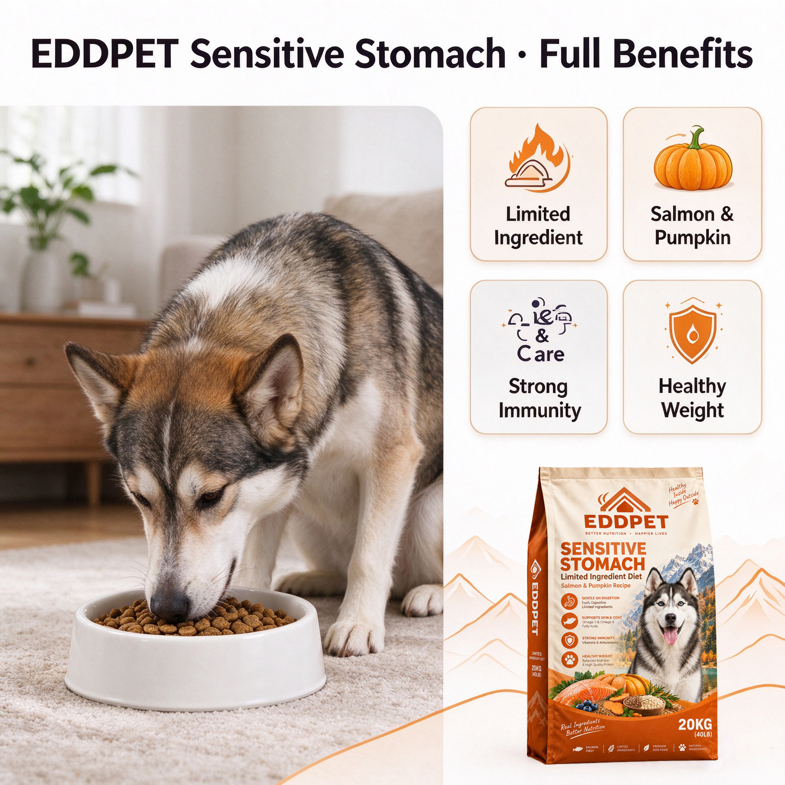 EDDPET Sensitive Stomach Dog Food 20KG | Salmon & Pumpkin - 图片 10